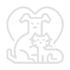 Home/Inicio Dieta Natural para tu Peludo Sitting Free Img